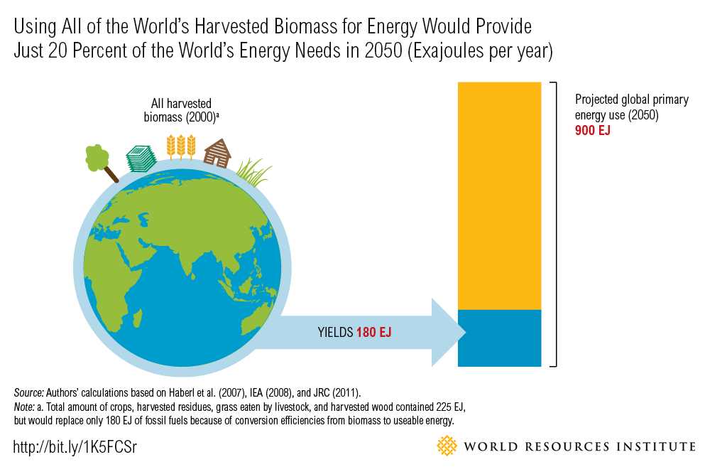 Why dedicating land to bioenergy won't curb climate change RenewEconomy